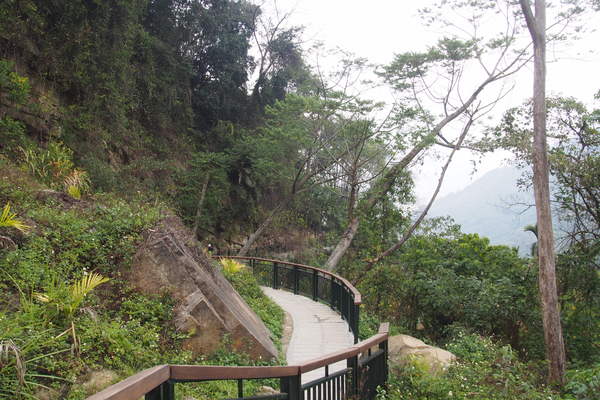 坪瀨琉璃光之橋：【南投】琉璃光之橋