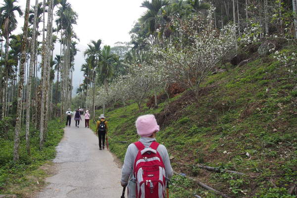 坪瀨琉璃光之橋：【南投】琉璃光之橋