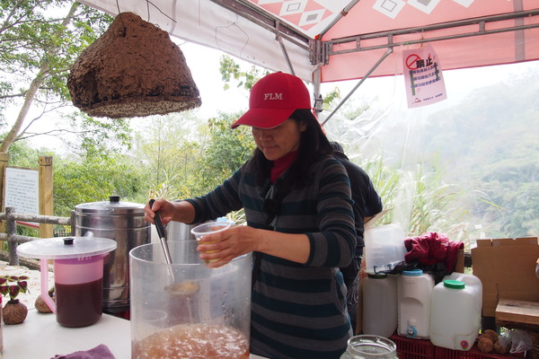 坪瀨琉璃光之橋：【南投】琉璃光之橋