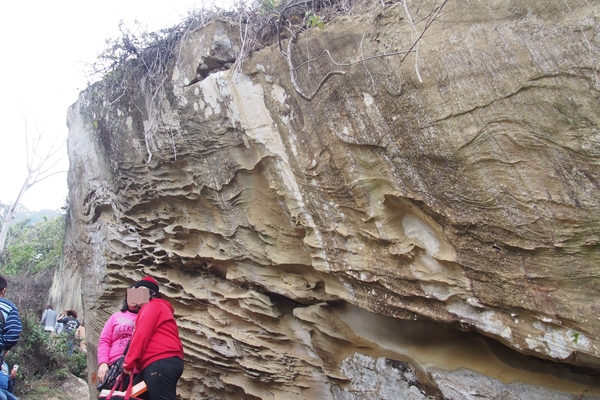 坪瀨琉璃光之橋：【南投】琉璃光之橋