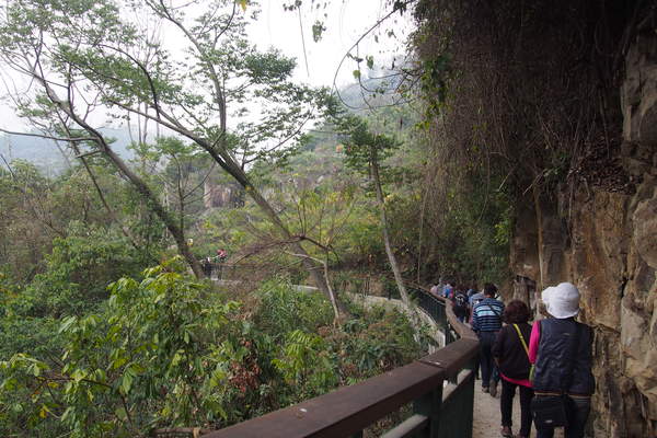 坪瀨琉璃光之橋：【南投】琉璃光之橋