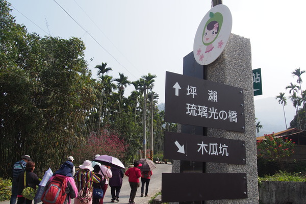 坪瀨琉璃光之橋：【南投】琉璃光之橋