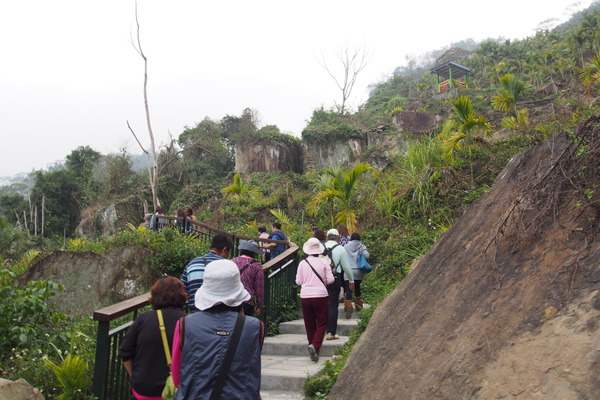 坪瀨琉璃光之橋：【南投】琉璃光之橋