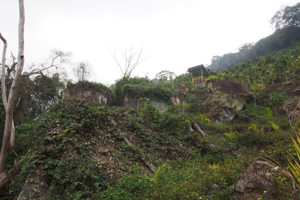 坪瀨琉璃光之橋：【南投】琉璃光之橋