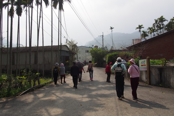 坪瀨琉璃光之橋：【南投】琉璃光之橋