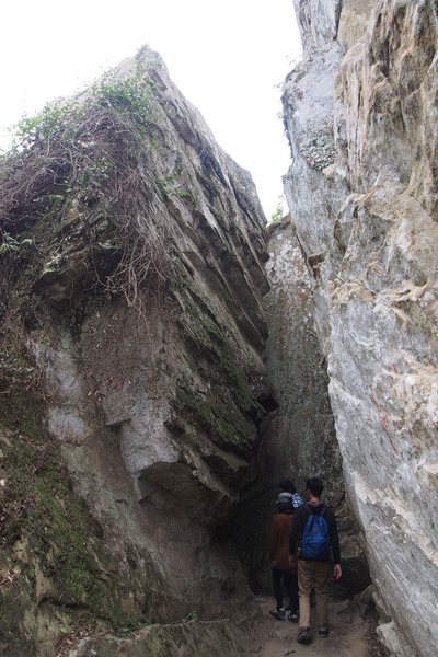 坪瀨琉璃光之橋：【南投】琉璃光之橋