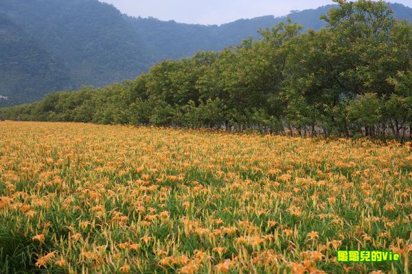 南投09.JPG