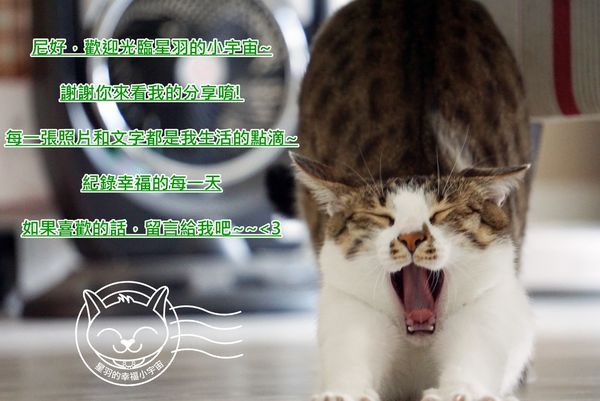 雲山水生態園區：※ 雲山水生態園區 ※【星羽愛玩樂-花蓮壽豐】近來超夯花蓮仙境景點，有山有水有落羽松，漫步其間健康夢幻又舒服~