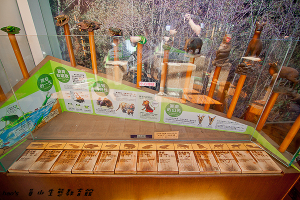 201603員山生態教育館050.jpg