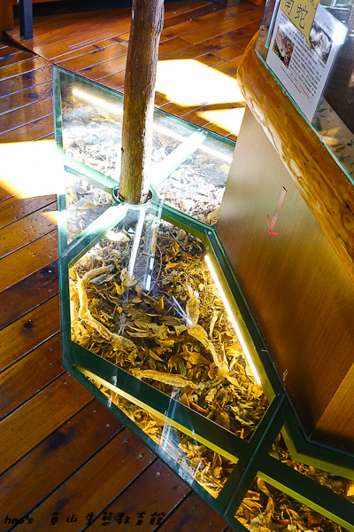 201603員山生態教育館026.jpg
