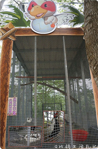 DSC05390_副本_副本