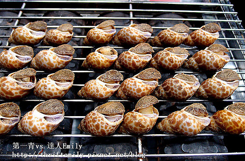 P8233615_副本_副本