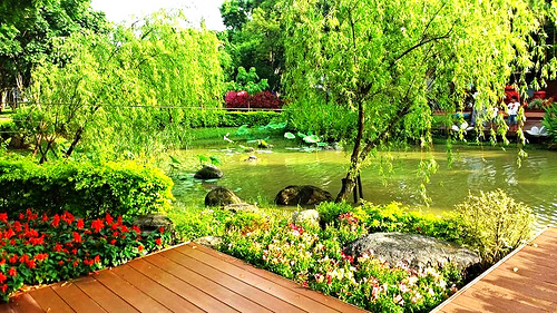 桃園客家文物館:【桃園景點】客家文物館生態公園