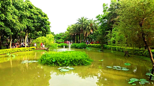 桃園客家文物館：【桃園景點】客家文物館生態公園