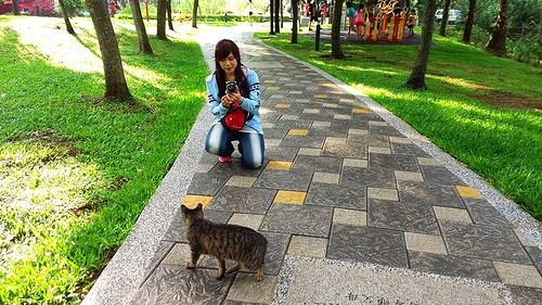 桃園客家文物館:【桃園景點】客家文物館生態公園