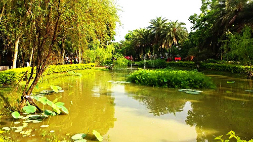 桃園客家文物館:【桃園景點】客家文物館生態公園