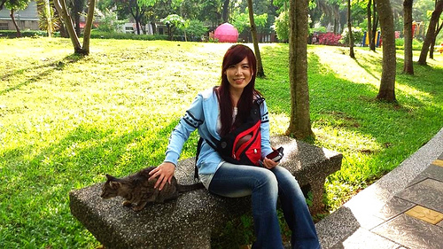 桃園客家文物館:【桃園景點】客家文物館生態公園