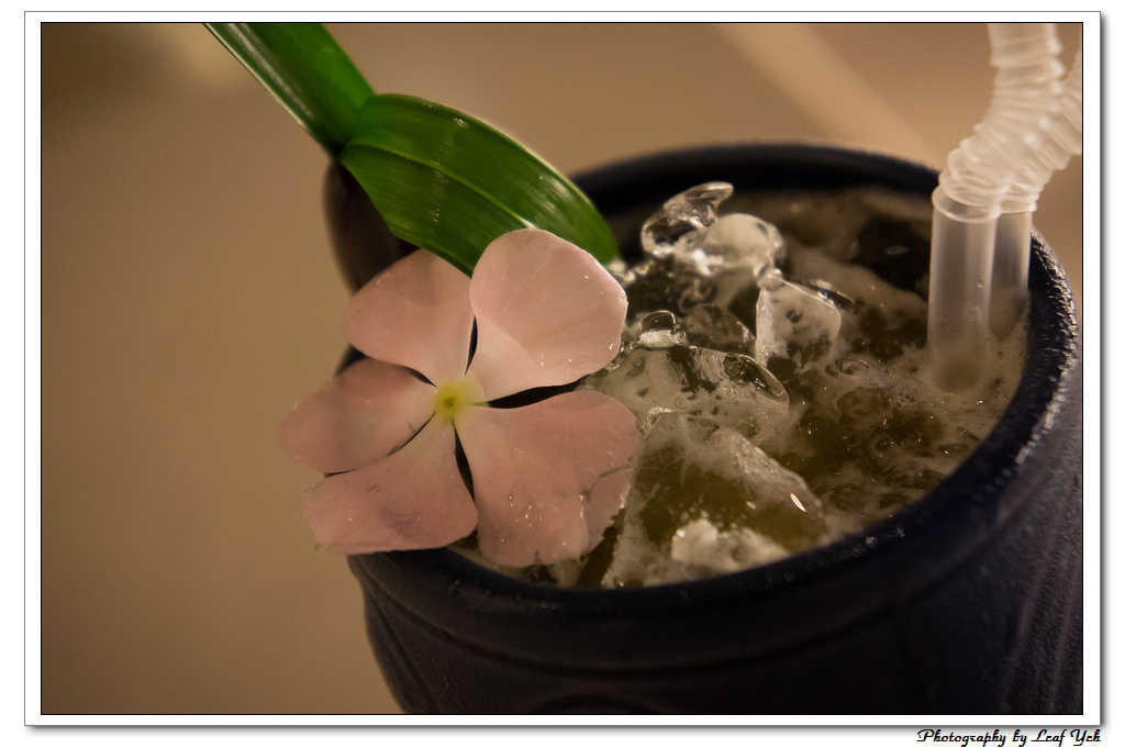 葉影瓶像版權所有