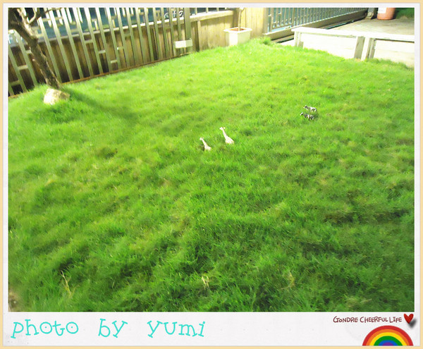 LAbbito Café：【愛評口碑券♥第二十五彈】來匆匆去匆匆@LAbbito Café