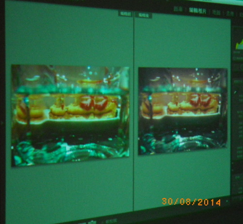 Café Café(原樂子咖啡):【愛評飯團山藥拔美食攝影講座╳Café Café下午茶】~照片會說話~