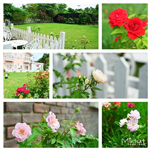 貝兒花園民宿:【宜蘭冬山民宿推薦】貝兒花園民宿邀約體驗‧每個女孩心中都有公主夢