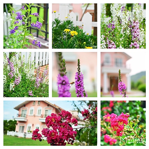 貝兒花園民宿:【宜蘭冬山民宿推薦】貝兒花園民宿邀約體驗‧每個女孩心中都有公主夢