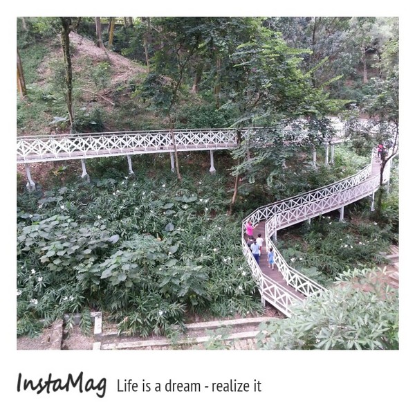 竹崎公園-天空步道：白色的樂章&嘉義竹崎親水公園天空步道