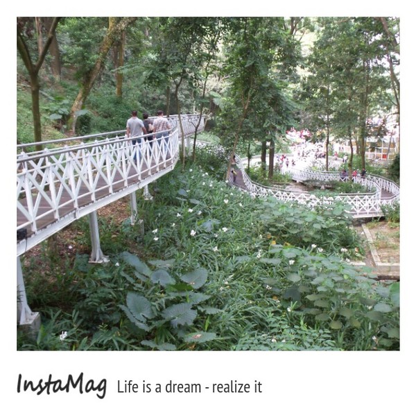 竹崎公園-天空步道：白色的樂章&嘉義竹崎親水公園天空步道