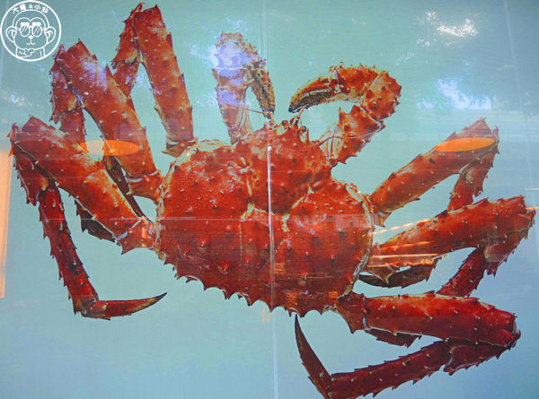 八田帝王蟹燒烤:呷飽祙【台北中山・八田頂級帝王蟹燒烤吃到飽】高級食材不怕你吃