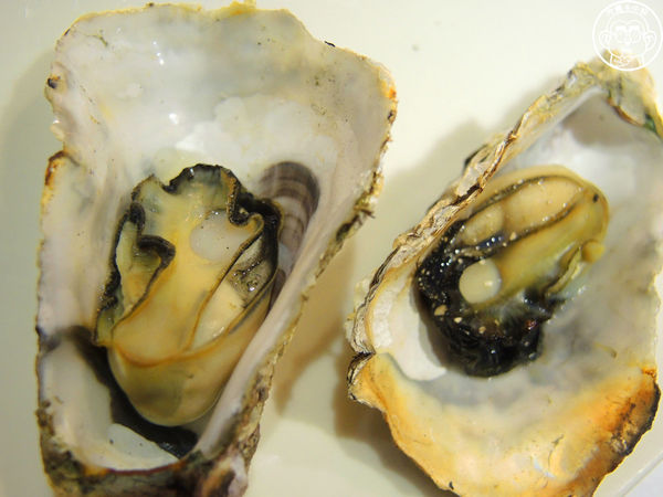 八田帝王蟹燒烤:呷飽祙【台北中山・八田頂級帝王蟹燒烤吃到飽】高級食材不怕你吃