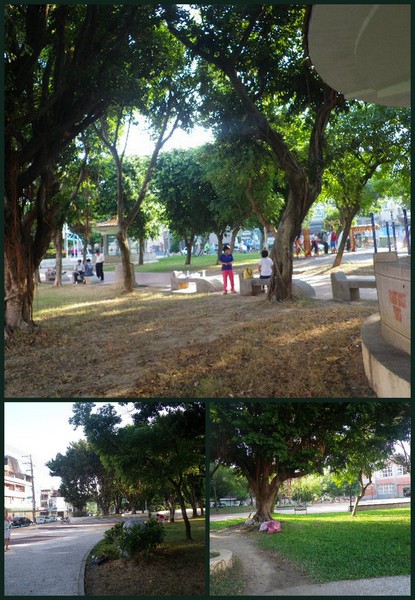 中壢復興運動公園：復興公園運動風氣盛行˙舞扇、舞劍、舞棍、活血功、排舞.樣樣行