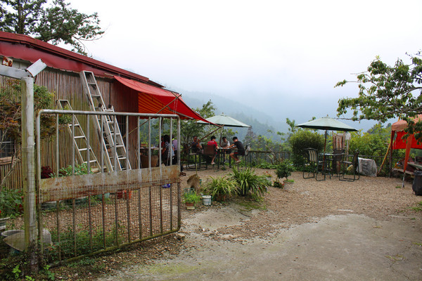 奮起湖甜甜圈：[阿里山]奮起湖 星空小屋旁的現烤甜甜圈