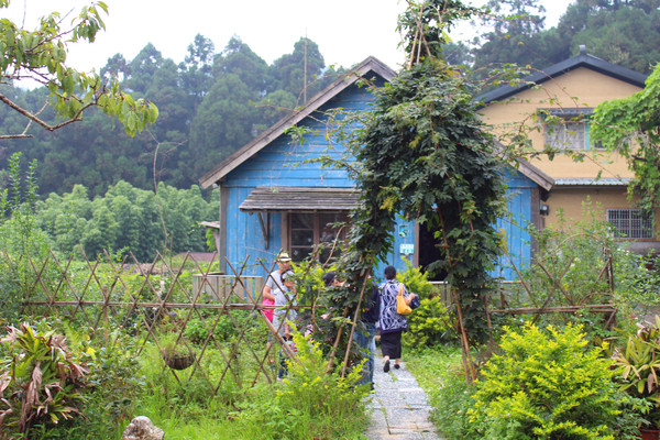 奮起湖甜甜圈：[阿里山]奮起湖 星空小屋旁的現烤甜甜圈