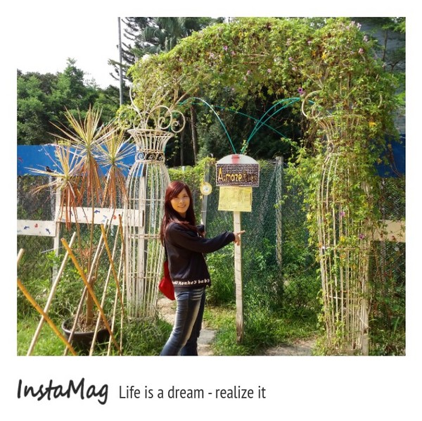 A‧maze兔子迷宮咖啡餐廳：【宜蘭景點】A‧maze兔子迷宮咖啡餐廳