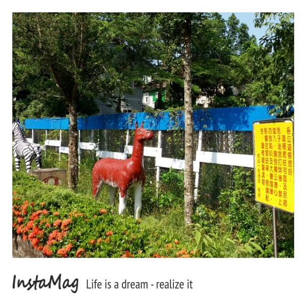 A‧maze兔子迷宮咖啡餐廳：【宜蘭景點】A‧maze兔子迷宮咖啡餐廳