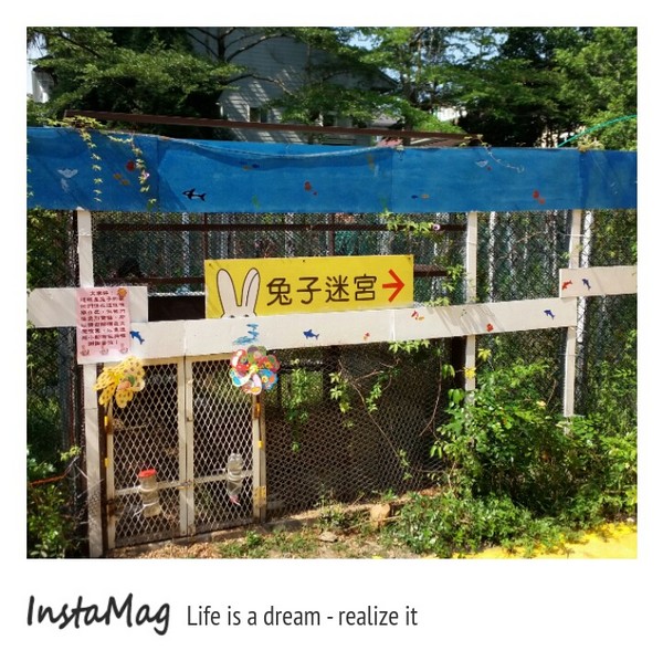 A‧maze兔子迷宮咖啡餐廳：【宜蘭景點】A‧maze兔子迷宮咖啡餐廳