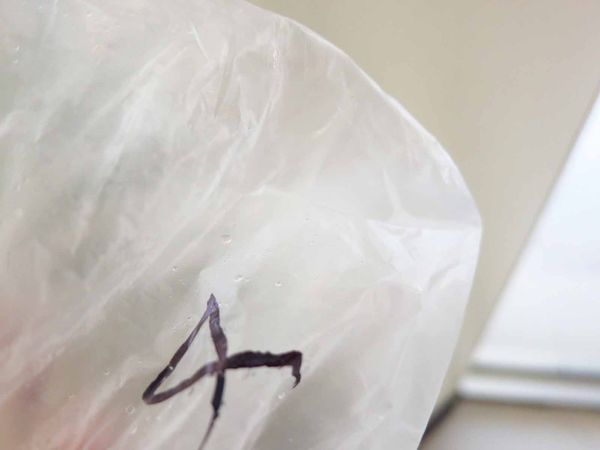 【桃園美食】明峰早餐店-在地人才知道的自製豬排三明治