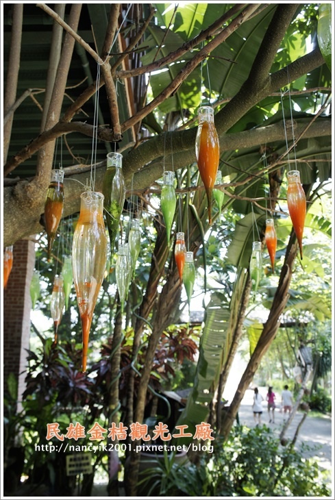 民雄金桔觀光工廠：民雄【金桔觀光工廠】