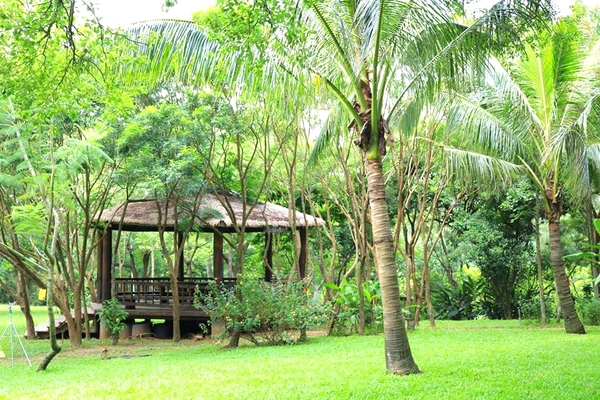 民雄金桔觀光工廠:【嘉義景點】民雄金桔觀光工廠~免費參觀行程,自己DIY金桔果醬天然又健康,烤肉區適合團康和露營