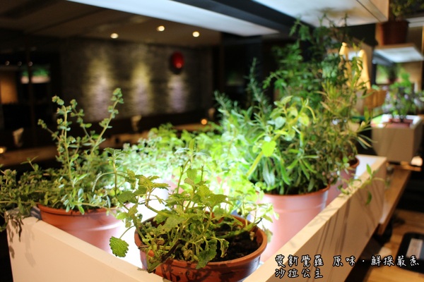 愛新覺羅 原味‧鮮採嚴煮：台北‧東區『愛新覺羅 原味‧鮮採嚴煮』城市農場現摘現泡/原汁原味/市民大道