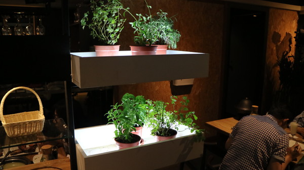 愛新覺羅 原味‧鮮採嚴煮:【台北美食】不能錯過的愛新覺羅--堅持原味‧鮮採嚴煮@忠孝敦化站