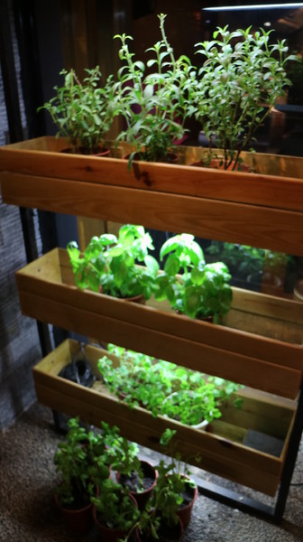 愛新覺羅 原味‧鮮採嚴煮:【台北美食】不能錯過的愛新覺羅--堅持原味‧鮮採嚴煮@忠孝敦化站