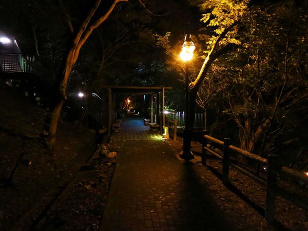 【新北市五股】水碓景觀公園觀景台-美麗夜景，約會聖地