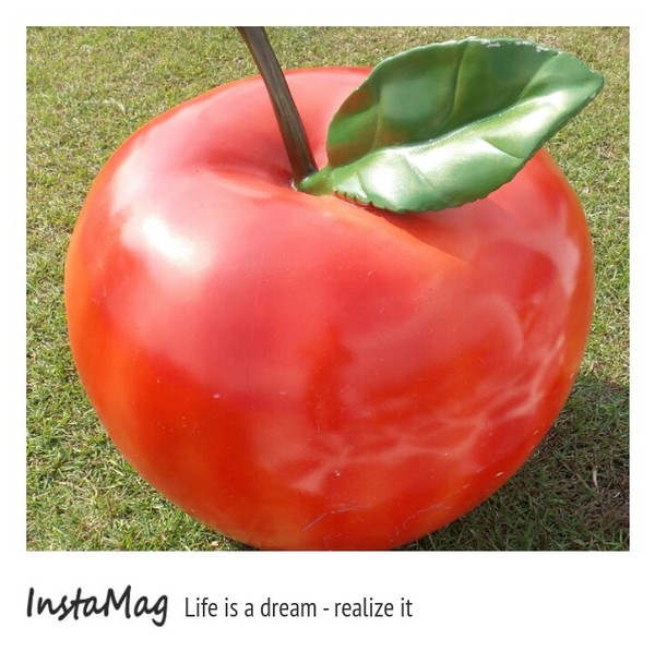 可妮小屋：充滿童趣的南瓜可妮小屋&你是我的小呀小蘋果