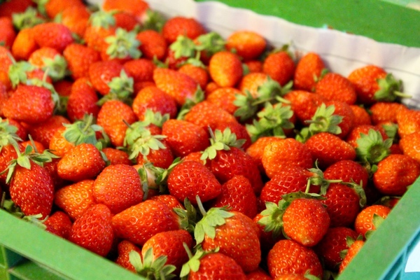 佐鶴堂散步甜食霜淇淋：[台南]冬天就是要吃草莓冰！！散步甜食小確幸 佐鶴堂霜淇淋