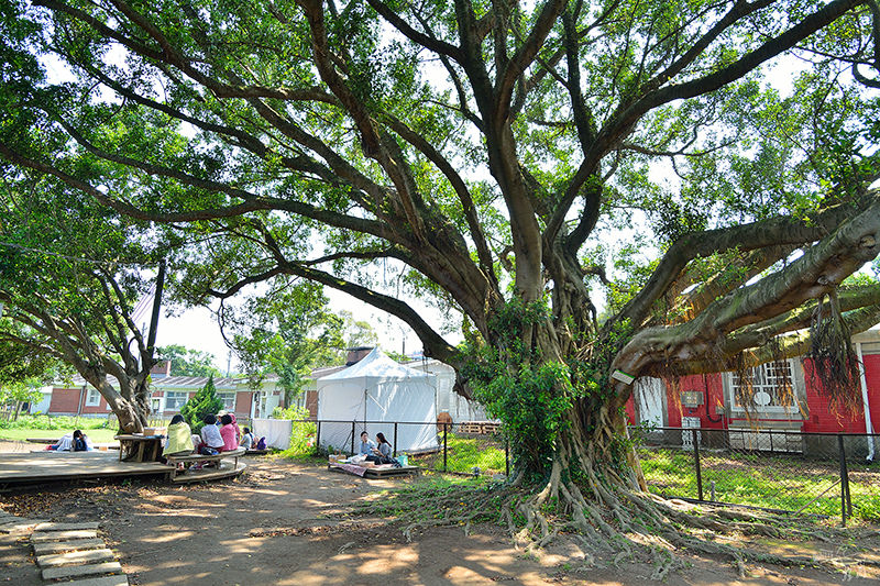 台北陽明山亞尼克夢想村:多款水果塔,野餐空間好舒適!(附野餐籃,野餐墊),台北陽明山甜點下午茶