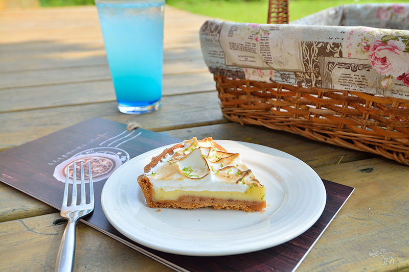 台北陽明山亞尼克夢想村:多款水果塔,野餐空間好舒適!(附野餐籃,野餐墊),台北陽明山甜點下午茶