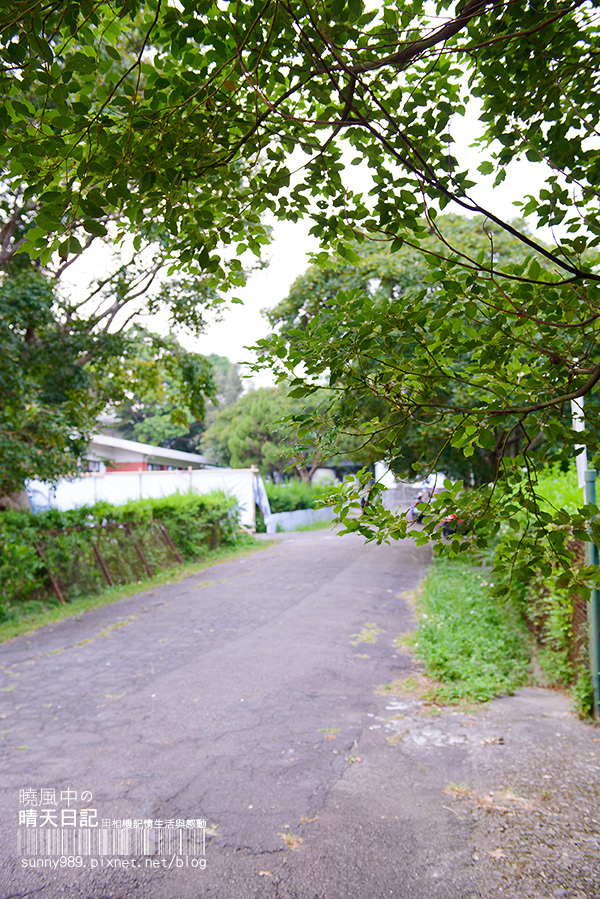 亞尼克夢想村1號店-美式派塔專賣店：來場暫別城市的Afternoon Tea--陽明山亞尼克夢想村1號店-美式派塔專賣店