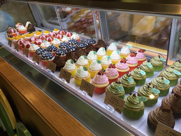 13925395_10206868744101333_7586980605867801259_n