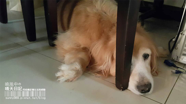 小春樓:【口碑券 | 小春樓 】滷入人情味的古早味滷味